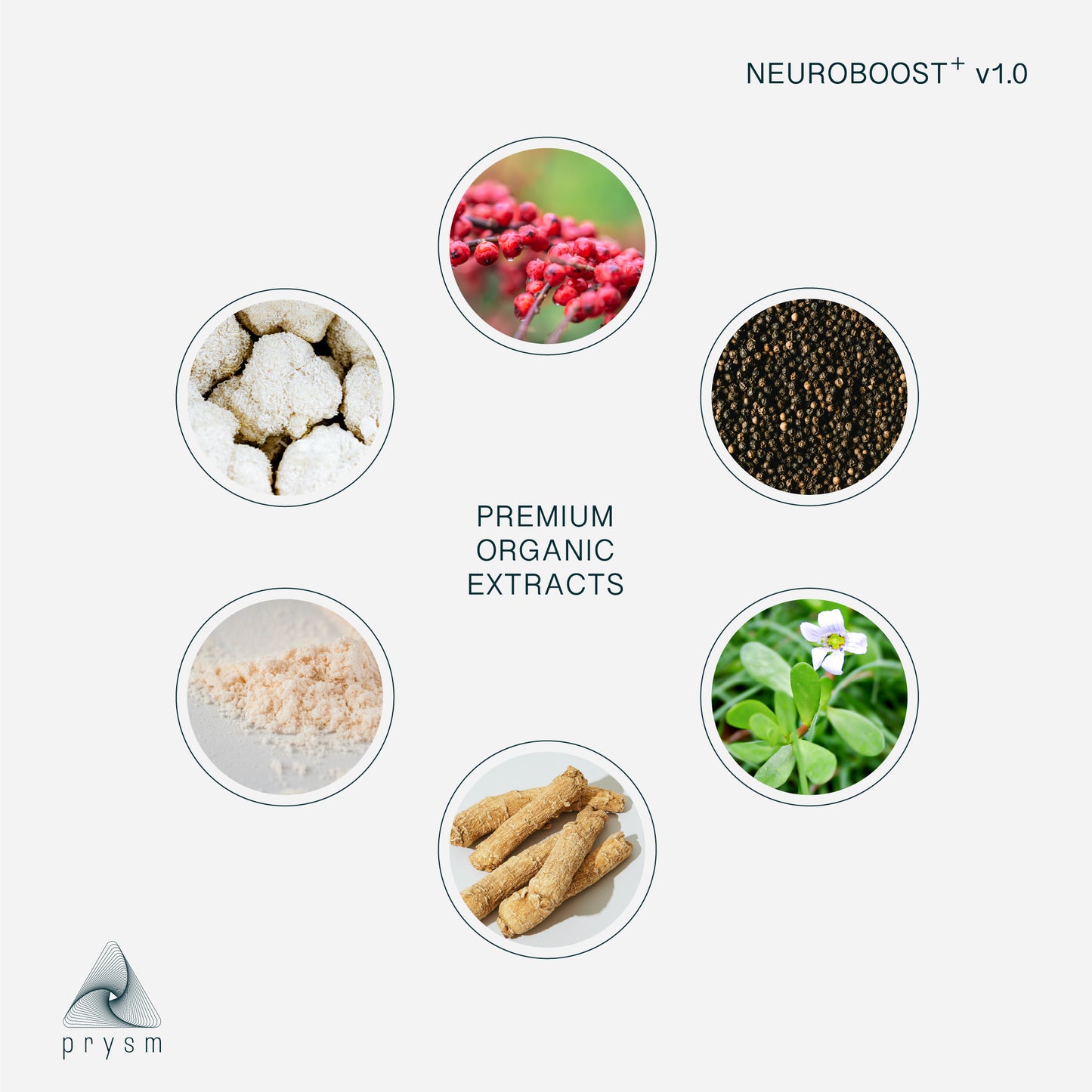 NEUROBOOST+ v1.0 (Monthly Subscription)