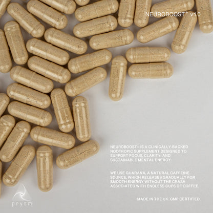 NEUROBOOST+ v1.0 (Monthly Subscription)